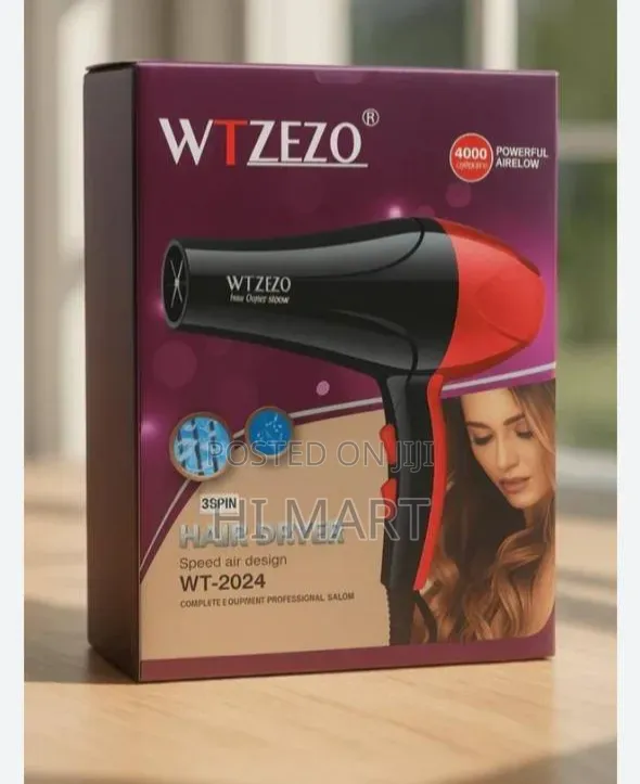 Wtzezzo High Quality Hair Dryer(4000watts)