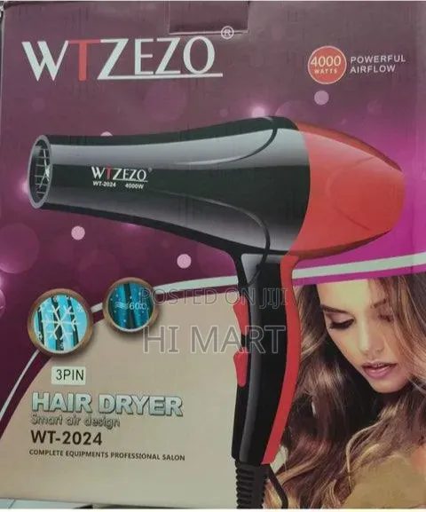 Wtzezzo High Quality Hair Dryer(4000watts)