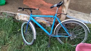 Creeper Bike Almost New