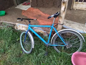 Creeper Bike Almost New