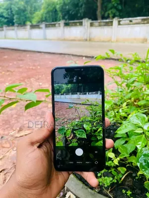 Apple iPhone 11 Pro Max 64 GB Green