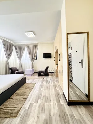 Furnished Studio Apartment in Bole for rent