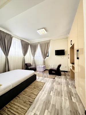 Furnished Studio Apartment in Bole for rent