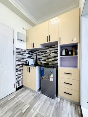 Furnished Studio Apartment in Bole for rent