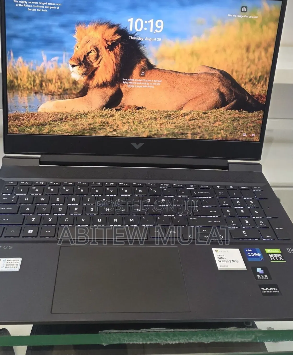 New Laptop HP Victus 16 16GB Intel Core i7 SSD 512GB