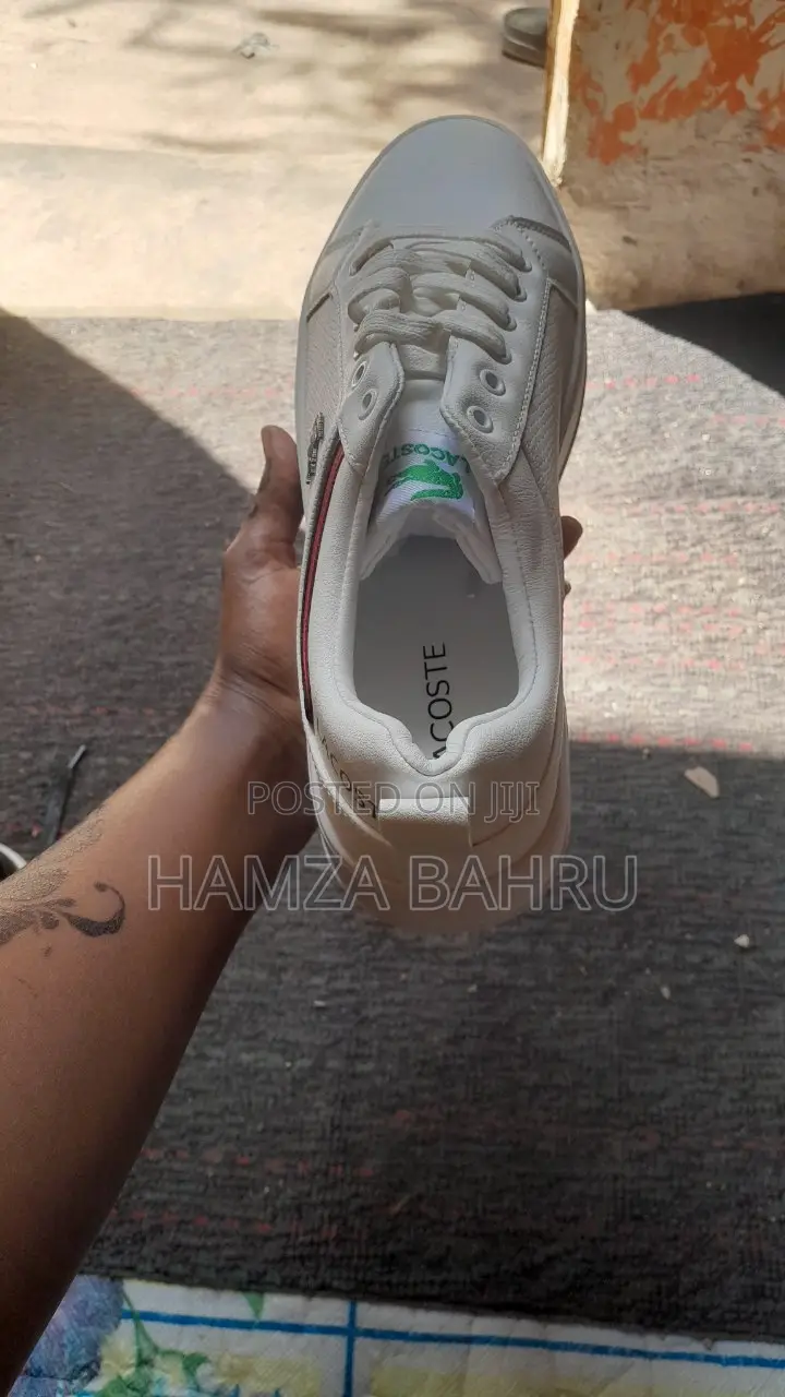 Lacoste Premium Sneakers – Brand New