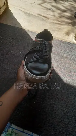 Lacoste Premium Sneakers – Brand New