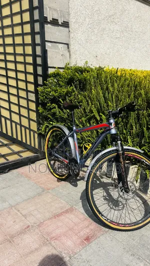 Bike Phoenix