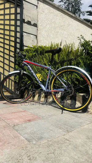 Bike Phoenix