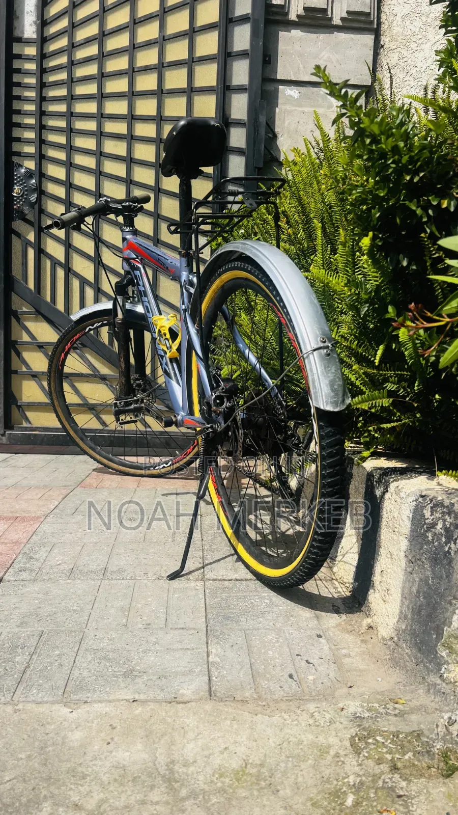 Bike Phoenix