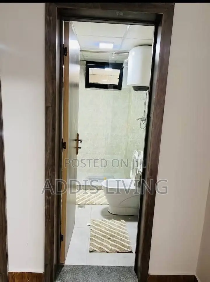 Furnished 3bdrm Apartment in Bole for sale