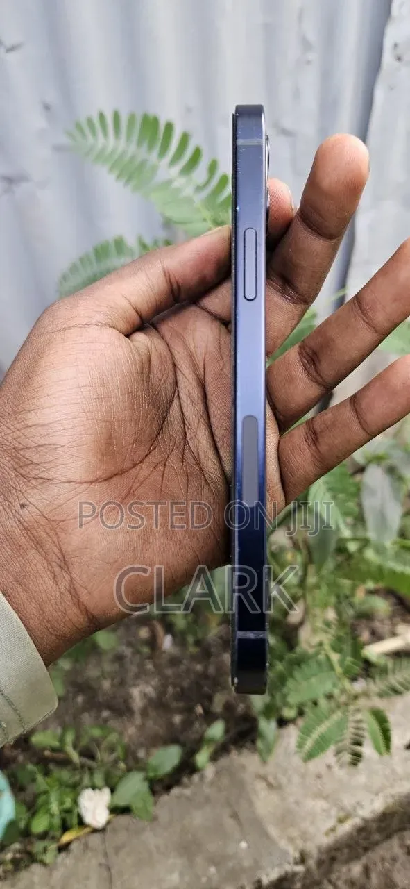 Apple iPhone 12 64 GB Blue