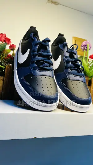 Nike Court Borough Low 2