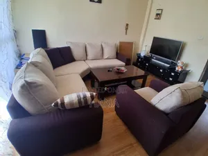 Best Furnichised Sofa