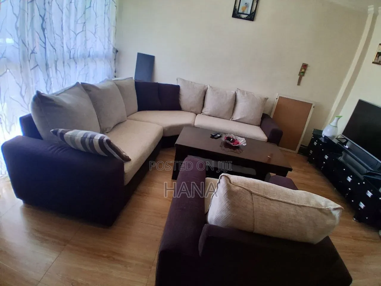 Best Furnichised Sofa