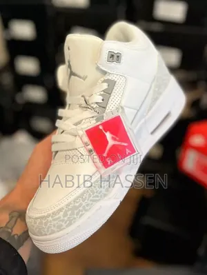 Jordan 3 Pure Money Shoes