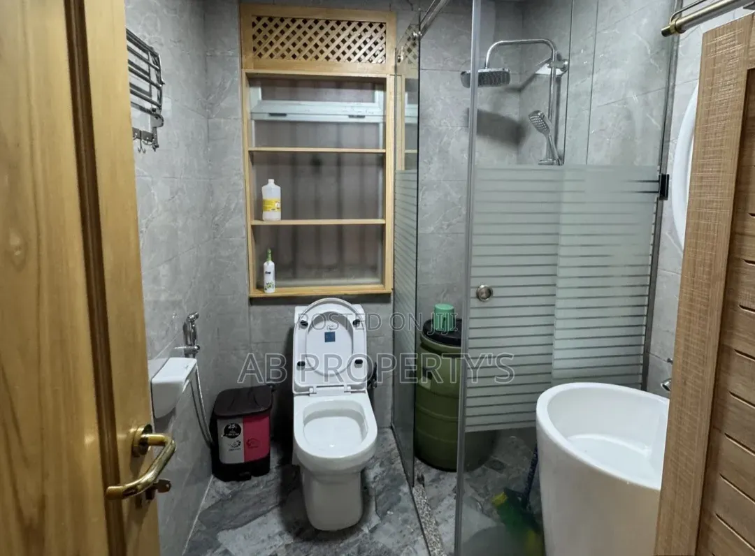 Furnished 2bdrm Apartment in ካሳንቺስ ኢሊሊ ሆቴል, Kirkos for sale