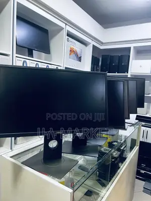 Dell 24 Inch Monitor