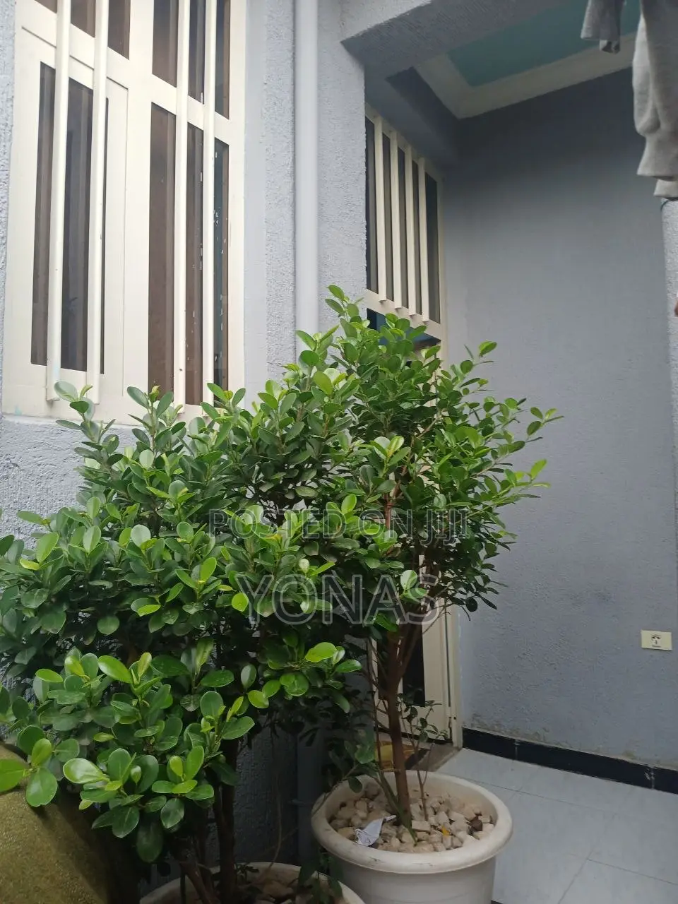 5bdrm House in Akaky Kaliti for sale