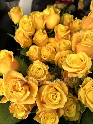 Flowers Bouquet