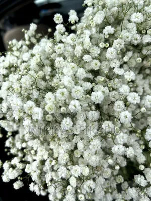 Flowers Bouquet