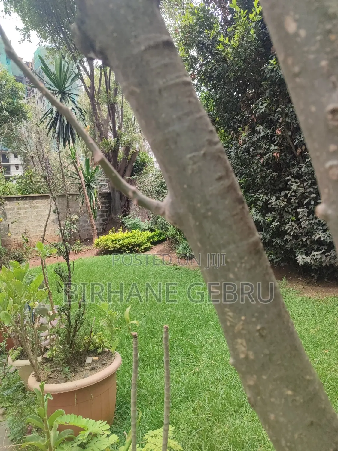 5bdrm House in G+2 House, Bole for rent