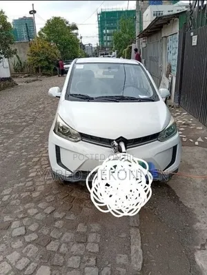 Car 2023 White