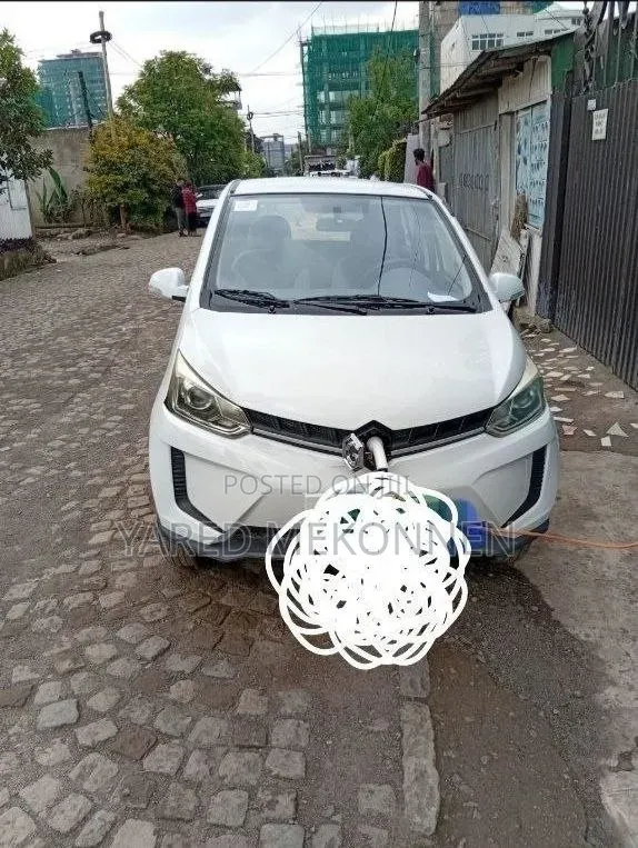 Car 2023 White