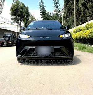 BYD Seagull 2024 Black