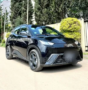 BYD Seagull 2024 Black