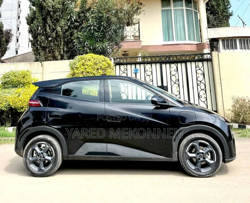 BYD Seagull 2024 Black