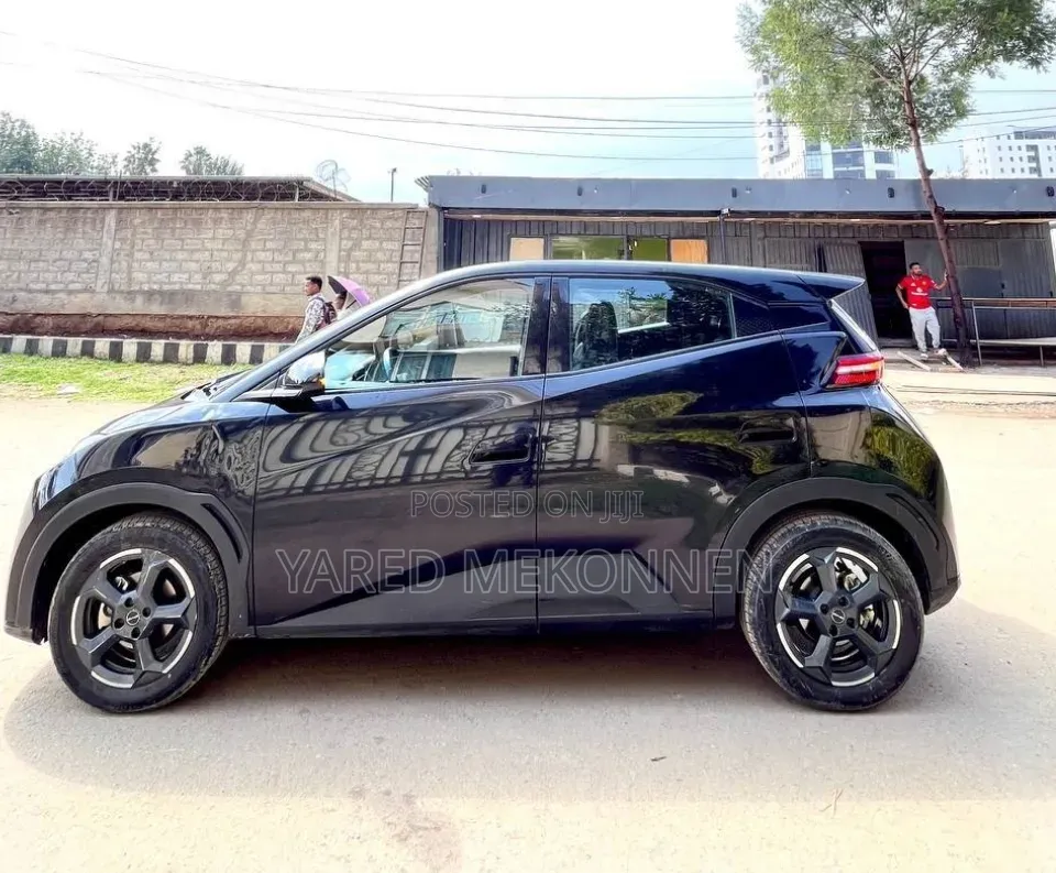 BYD Seagull 2024 Black