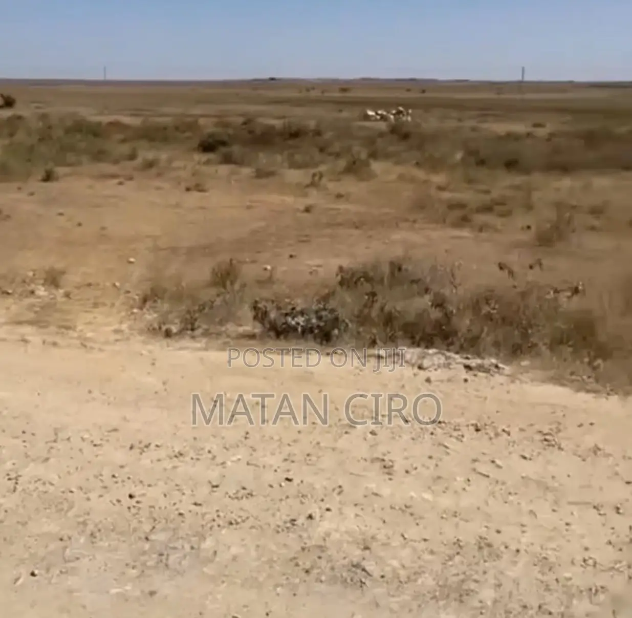 Land for Sell