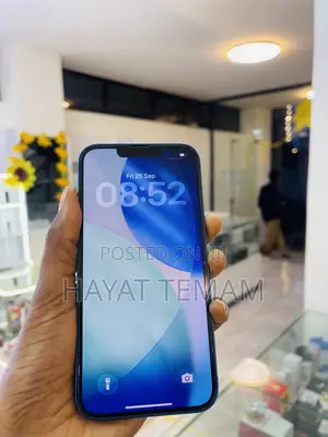 Apple iPhone 13 256 GB