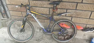 Phonex Bike in Greater Condition