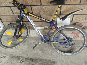 Phonex Bike in Greater Condition