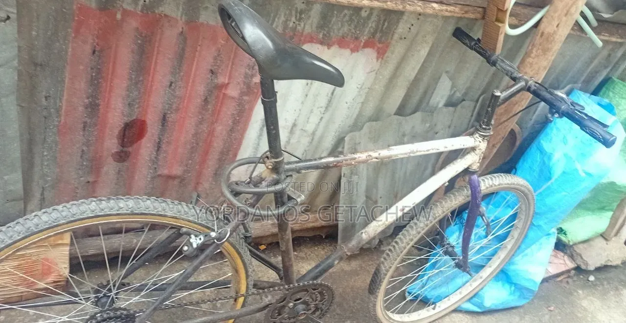 Phonex Bike