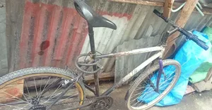 Phonex Bike