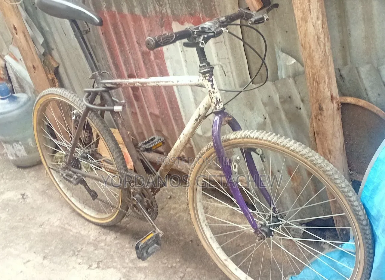 Phonex Bike