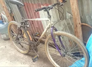 Phonex Bike