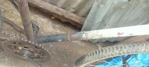 Phonex Bike