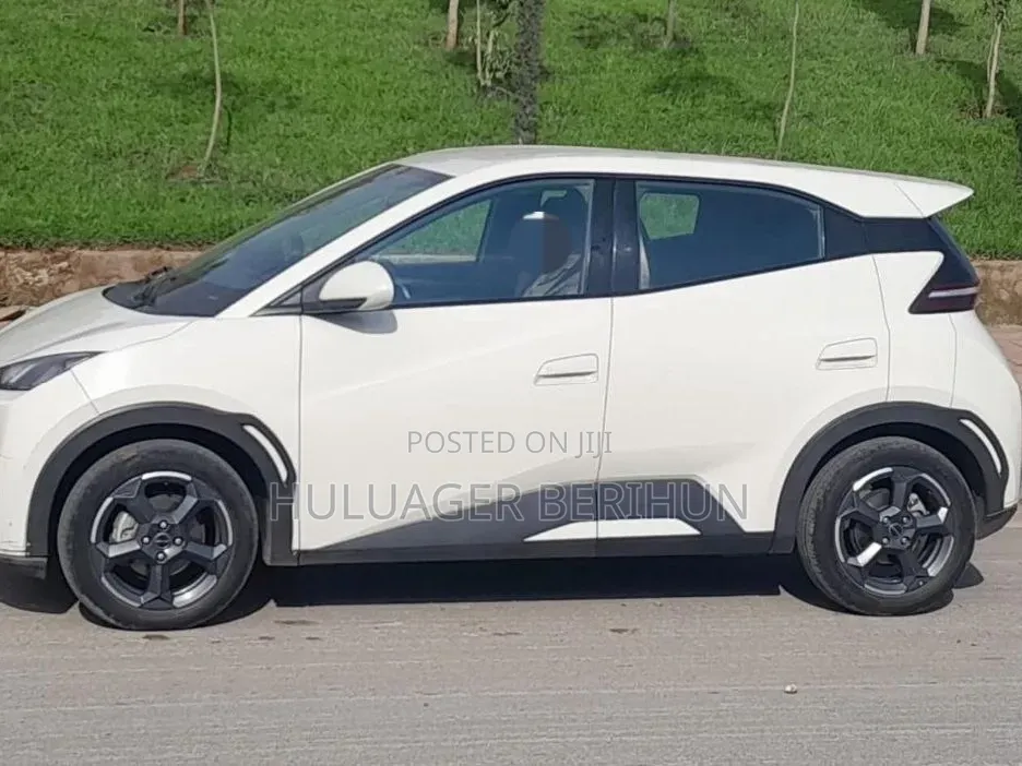 BYD Seagull 2024 White