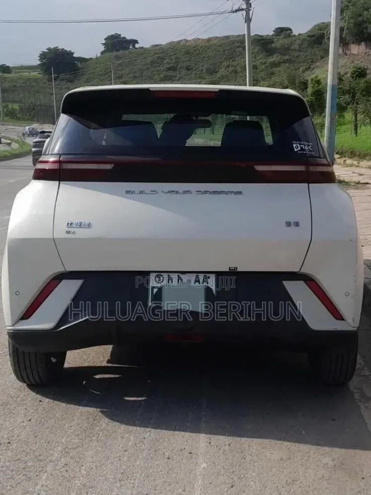 BYD Seagull 2024 White