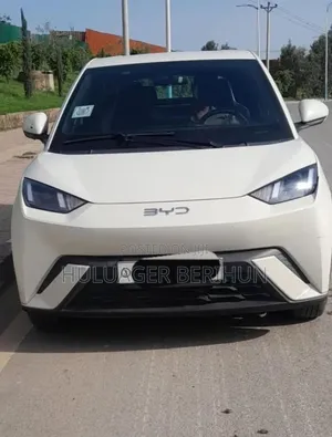 BYD Seagull 2024 White