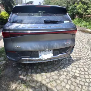BYD Yuan Plus 2024 Gray