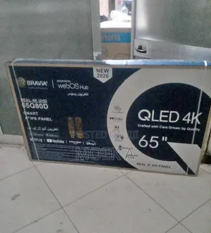 Bravia 65 Inch TV