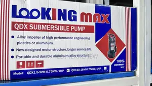 Submersible Water Pump