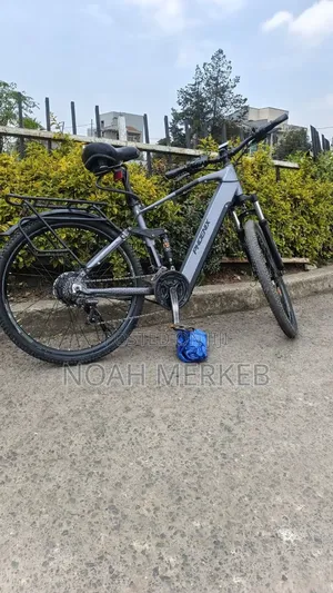 Bike Phoenix Electric