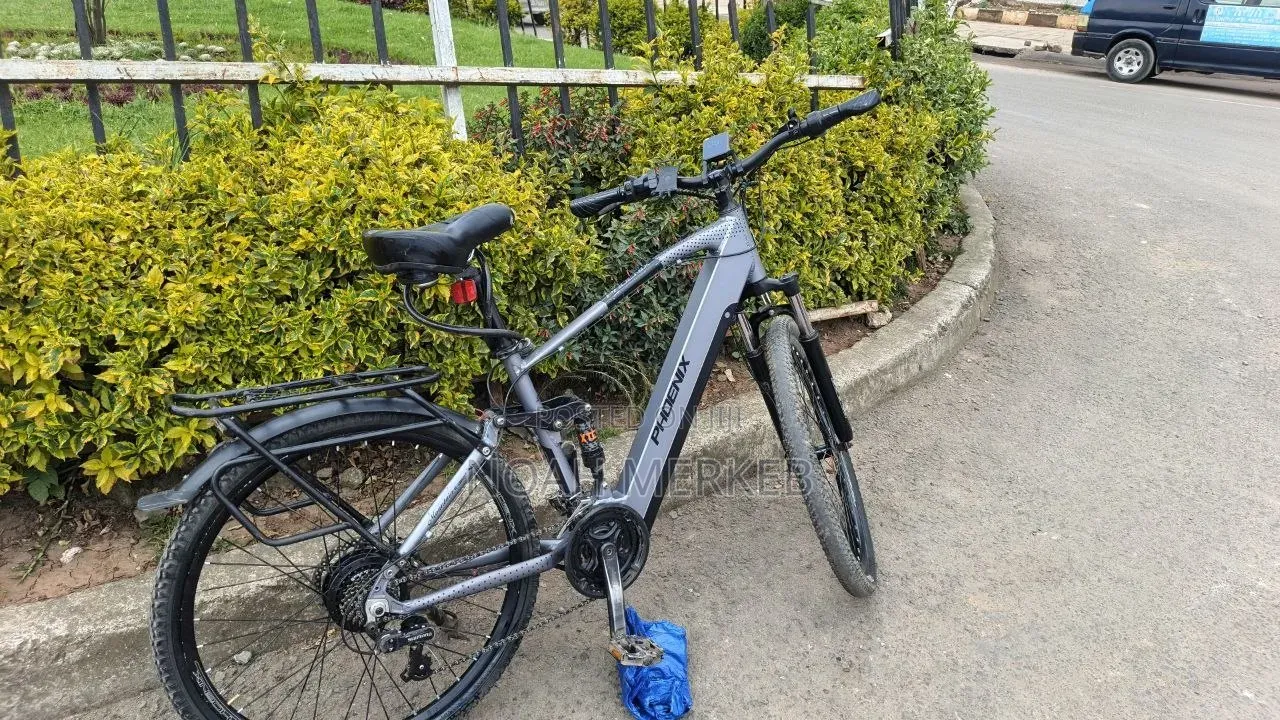 Bike Phoenix Electric