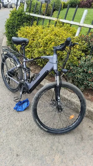 Bike Phoenix Electric